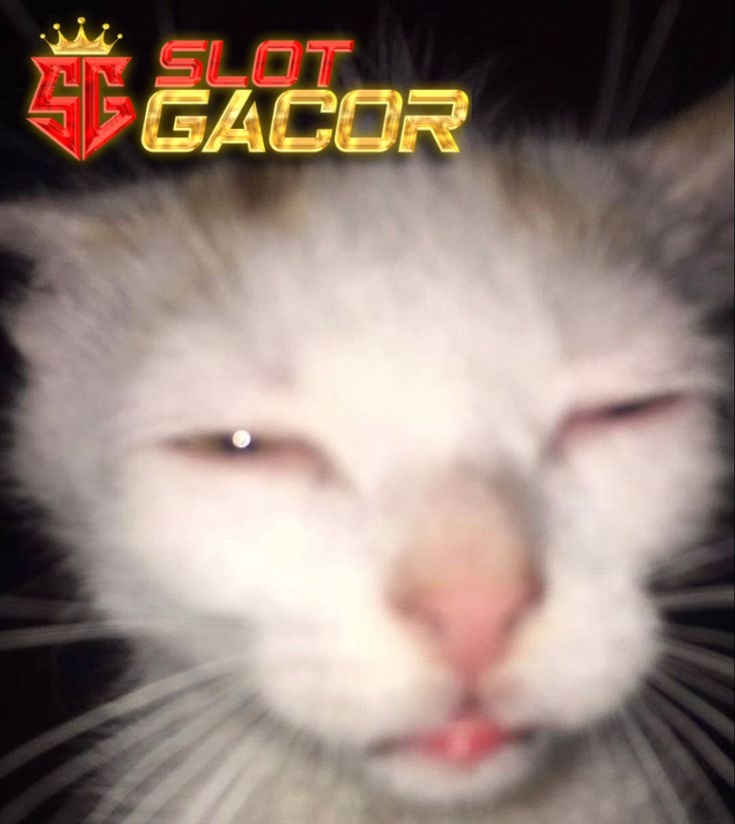 AYAMJP : Bermain di Situs Slot Gacor 4D Bonus Melimpah Setiap Hari