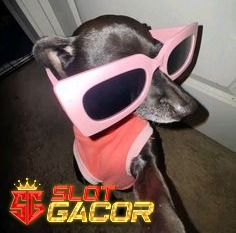 ISTANAPETIR : Situs Slot Gacor 4D dengan Server Slot 777 Terbaik 2024