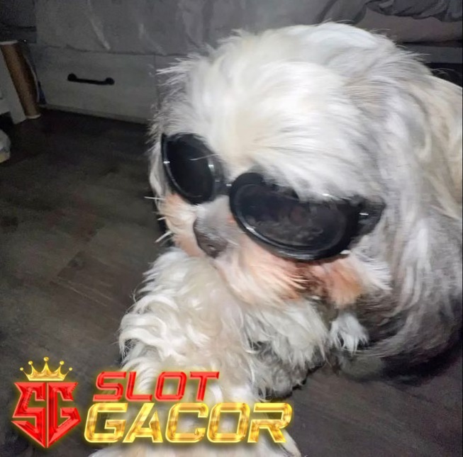 TIKUSJP : Situs Slot Gacor 4D Server Slot 777 Terbaik Pasti Maxwin